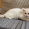Casper