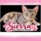 Sierra